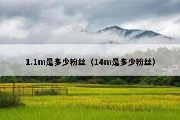 1.1m是多少粉丝（14m是多少粉丝） 第1张