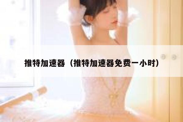 推特加速器（推特加速器免费一小时） 第1张