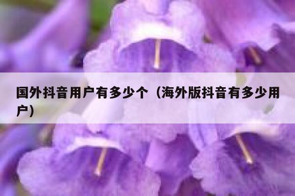 国外抖音用户有多少个（海外版抖音有多少用户） 第1张