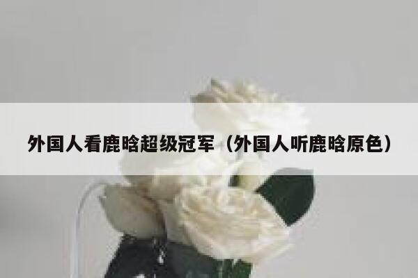 外国人看鹿晗超级冠军（外国人听鹿晗原色） 第1张