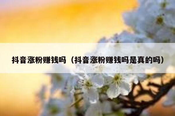 抖音涨粉赚钱吗（抖音涨粉赚钱吗是真的吗） 第1张