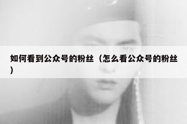 如何看到公众号的粉丝（怎么看公众号的粉丝） 第1张