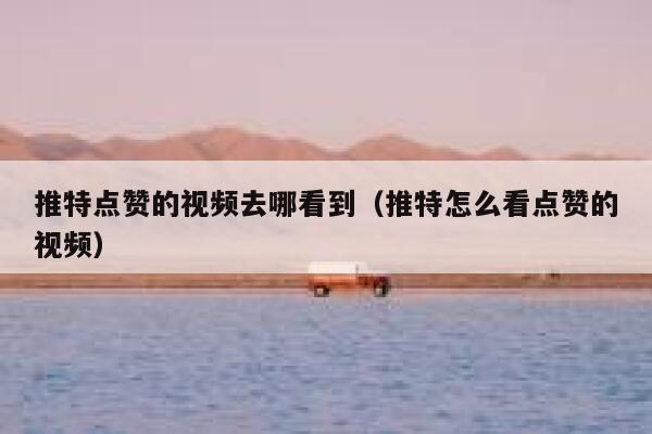推特点赞的视频去哪看到（推特怎么看点赞的视频） 第1张