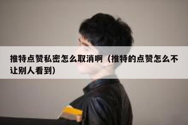 推特点赞私密怎么取消啊（推特的点赞怎么不让别人看到） 第1张