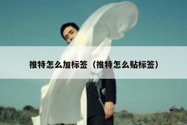 推特怎么加标签（推特怎么贴标签） 第1张