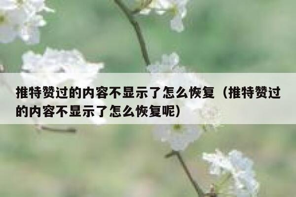 推特赞过的内容不显示了怎么恢复（推特赞过的内容不显示了怎么恢复呢） 第1张