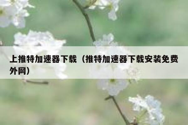 上推特加速器下载（推特加速器下载安装免费外网） 第1张
