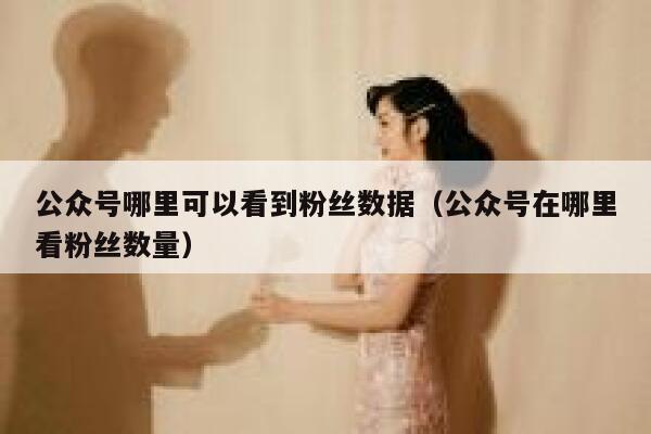 公众号哪里可以看到粉丝数据（公众号在哪里看粉丝数量） 第1张