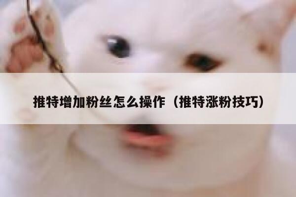 推特增加粉丝怎么操作（推特涨粉技巧） 第1张