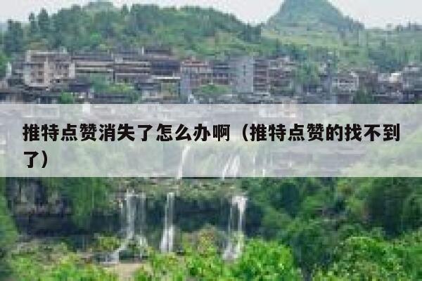 推特点赞消失了怎么办啊（推特点赞的找不到了） 第1张