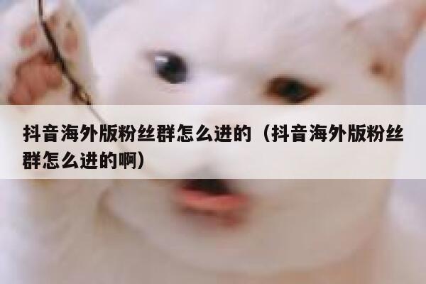 抖音海外版粉丝群怎么进的（抖音海外版粉丝群怎么进的啊） 第1张