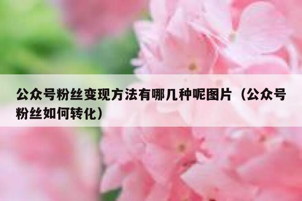 公众号粉丝变现方法有哪几种呢图片（公众号粉丝如何转化） 第1张