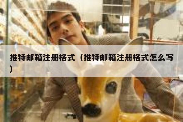 推特邮箱注册格式（推特邮箱注册格式怎么写） 第1张