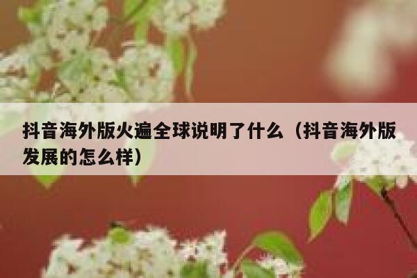 抖音海外版火遍全球说明了什么（抖音海外版发展的怎么样） 第1张