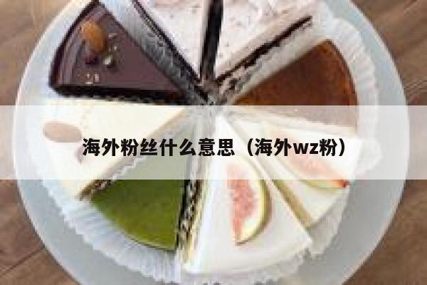 海外粉丝什么意思（海外wz粉） 第1张