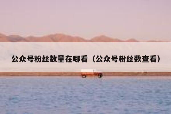 公众号粉丝数量在哪看（公众号粉丝数查看） 第1张