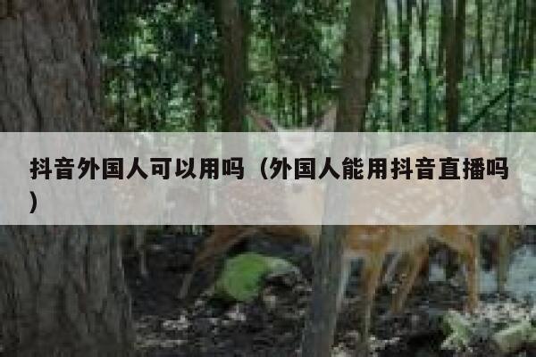 抖音外国人可以用吗（外国人能用抖音直播吗） 第1张