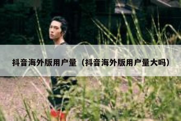 抖音海外版用户量（抖音海外版用户量大吗） 第1张