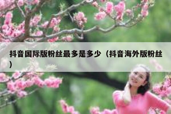 抖音国际版粉丝最多是多少（抖音海外版粉丝） 第1张
