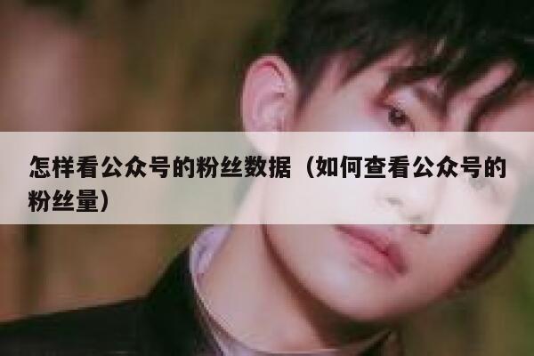 怎样看公众号的粉丝数据（如何查看公众号的粉丝量） 第1张