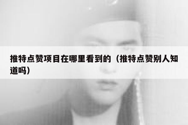 推特点赞项目在哪里看到的（推特点赞别人知道吗） 第1张