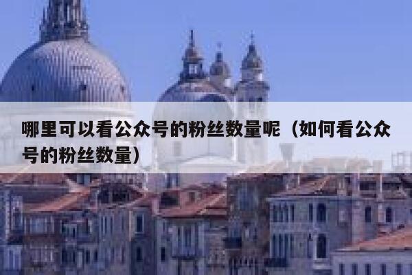 哪里可以看公众号的粉丝数量呢（如何看公众号的粉丝数量） 第1张