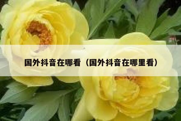 国外抖音在哪看（国外抖音在哪里看） 第1张