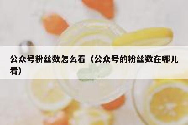 公众号粉丝数怎么看（公众号的粉丝数在哪儿看） 第1张