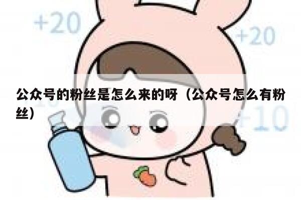 公众号的粉丝是怎么来的呀（公众号怎么有粉丝） 第1张