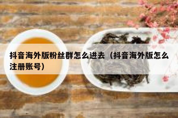 抖音海外版粉丝群怎么进去（抖音海外版怎么注册账号） 第1张