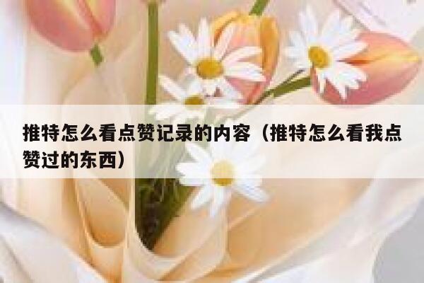 推特怎么看点赞记录的内容（推特怎么看我点赞过的东西） 第1张