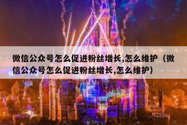 微信公众号怎么促进粉丝增长,怎么维护（微信公众号怎么促进粉丝增长,怎么维护） 第1张