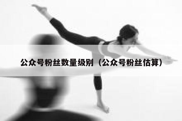 公众号粉丝数量级别（公众号粉丝估算） 第1张