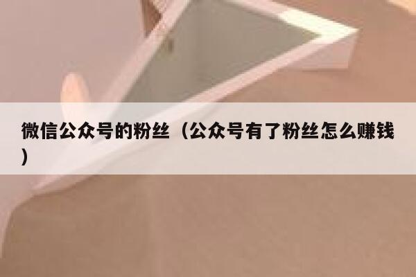 微信公众号的粉丝（公众号有了粉丝怎么赚钱） 第1张