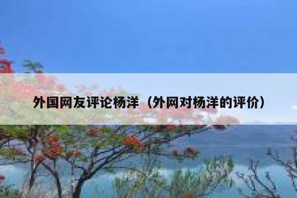 外国网友评论杨洋（外网对杨洋的评价） 第1张