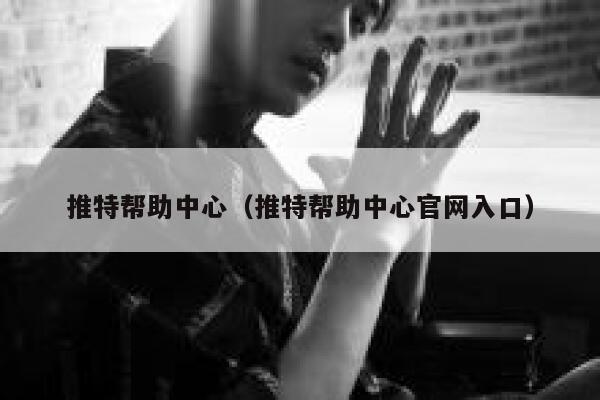 推特帮助中心（推特帮助中心官网入口） 第1张