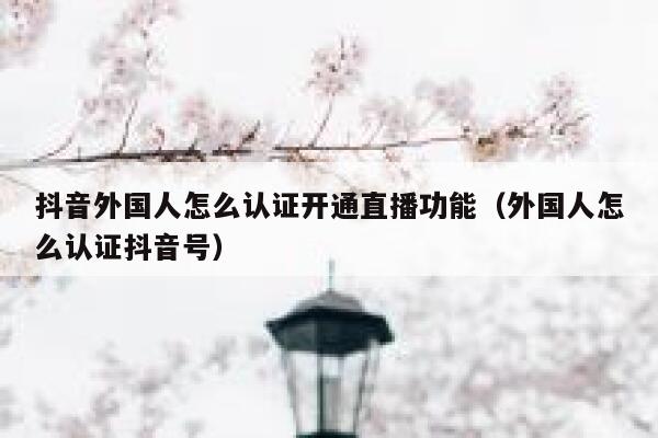 抖音外国人怎么认证开通直播功能（外国人怎么认证抖音号） 第1张