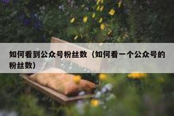 如何看到公众号粉丝数（如何看一个公众号的粉丝数） 第1张