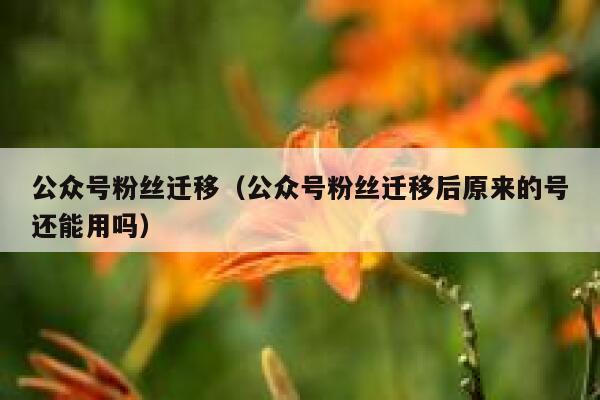 公众号粉丝迁移（公众号粉丝迁移后原来的号还能用吗） 第1张