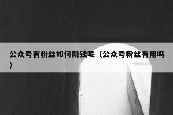 公众号有粉丝如何赚钱呢（公众号粉丝有用吗） 第1张