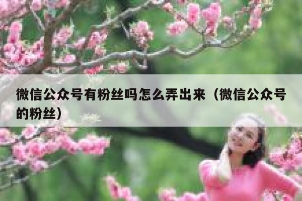 微信公众号有粉丝吗怎么弄出来（微信公众号的粉丝） 第1张