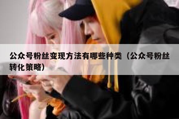 公众号粉丝变现方法有哪些种类（公众号粉丝转化策略） 第1张