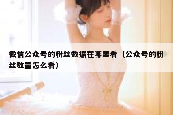 微信公众号的粉丝数据在哪里看（公众号的粉丝数量怎么看） 第1张