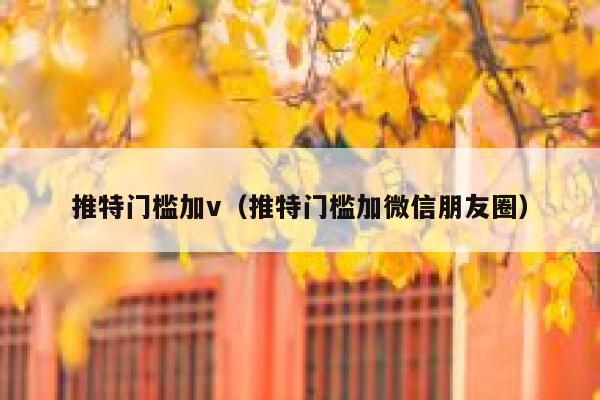 推特门槛加v（推特门槛加微信朋友圈） 第1张