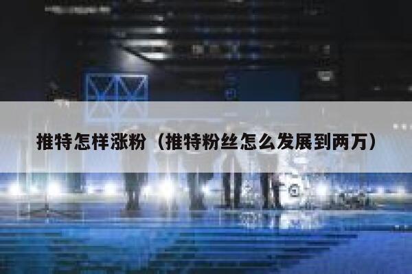 推特怎样涨粉（推特粉丝怎么发展到两万） 第1张