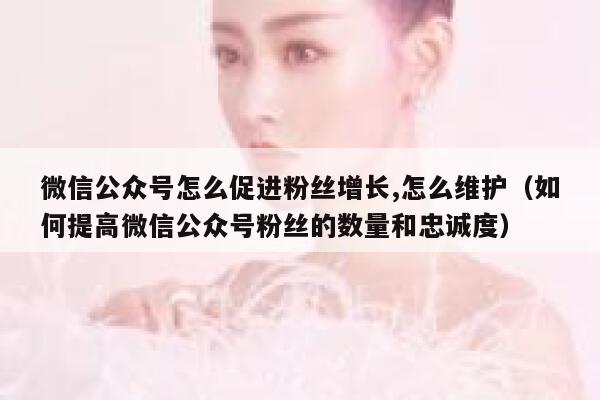微信公众号怎么促进粉丝增长,怎么维护（如何提高微信公众号粉丝的数量和忠诚度） 第1张