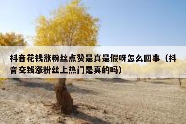 抖音花钱涨粉丝点赞是真是假呀怎么回事（抖音交钱涨粉丝上热门是真的吗） 第1张