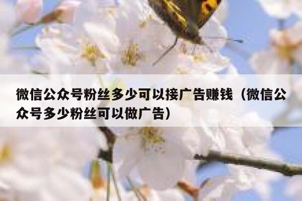 微信公众号粉丝多少可以接广告赚钱（微信公众号多少粉丝可以做广告） 第1张