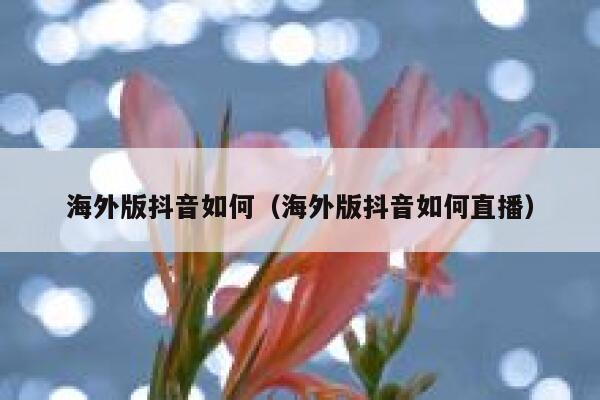 海外版抖音如何（海外版抖音如何直播） 第1张