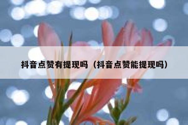 抖音点赞有提现吗（抖音点赞能提现吗） 第1张